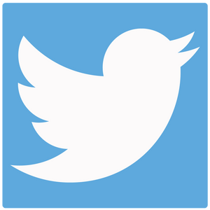 New Twitter Feed For Dropship Supplier News