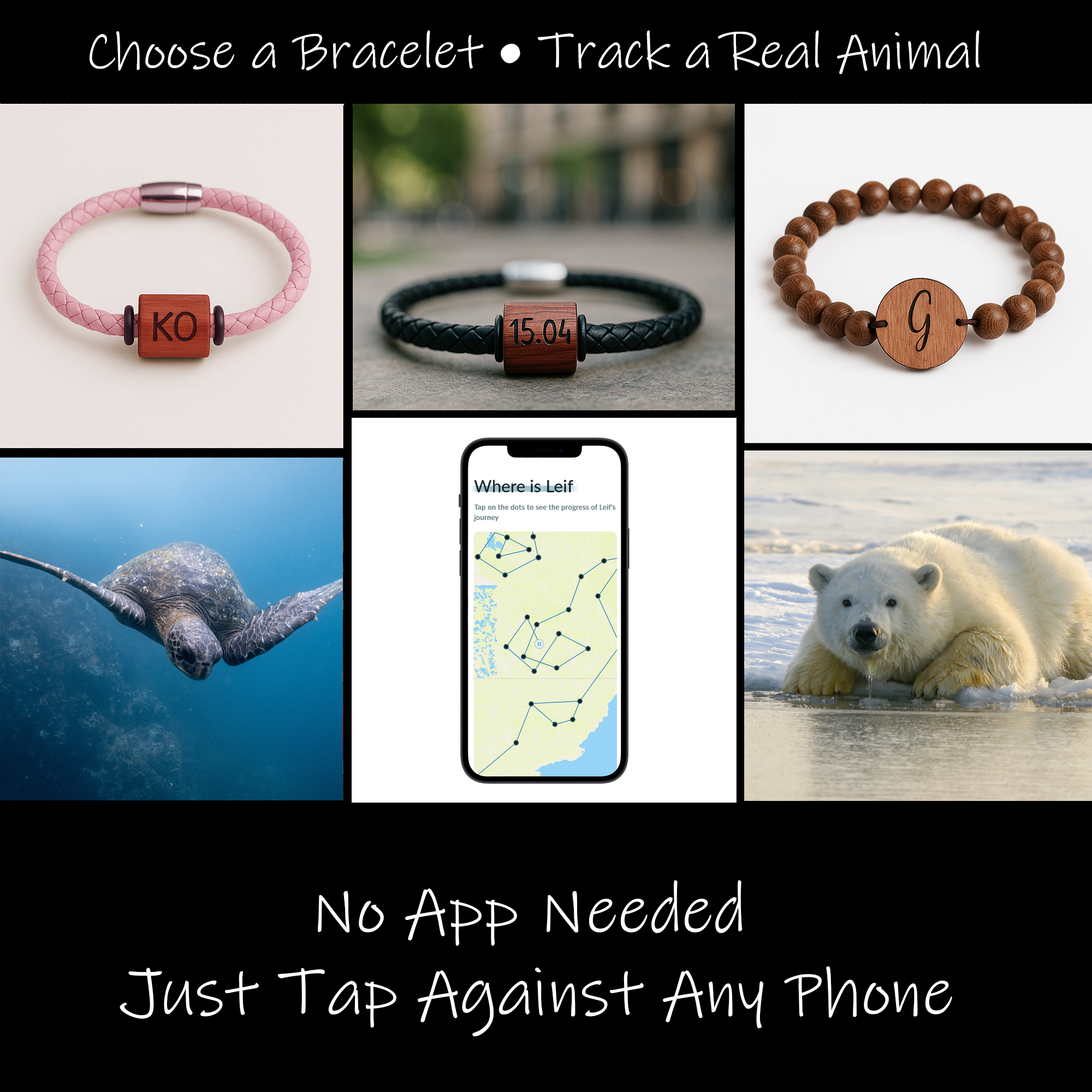 Wave Bracelet - Track a real Sea Turtle